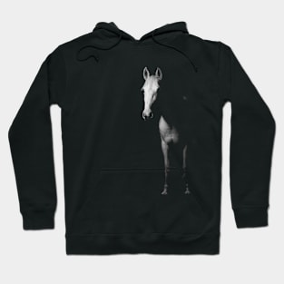 BEAUTIFUL GREY HORSE Hoodie